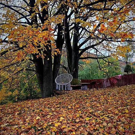 Pod Lipa 度假居 *